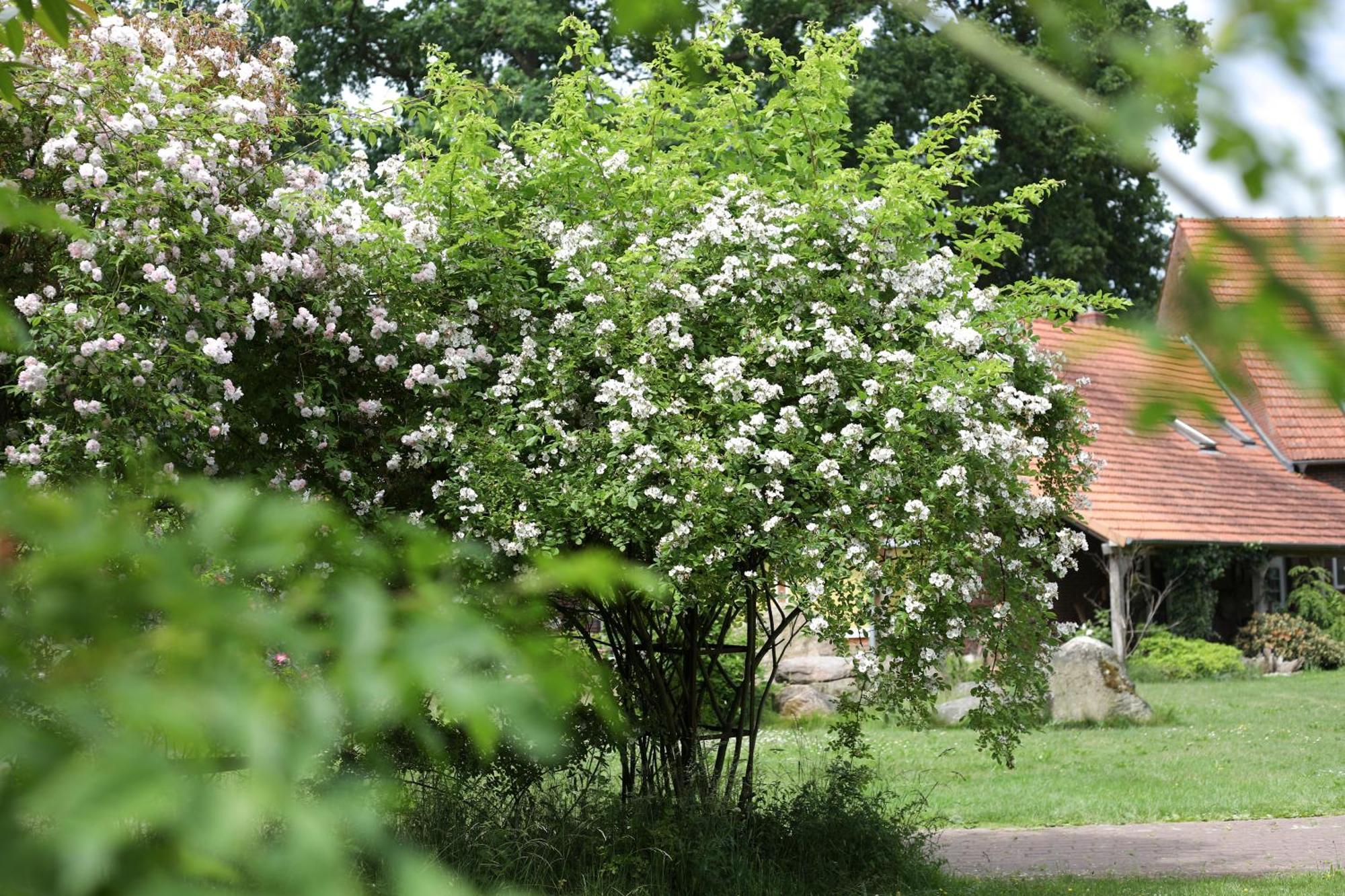 Sophienhof Achternholt Hotel Wardenburg Luaran gambar
